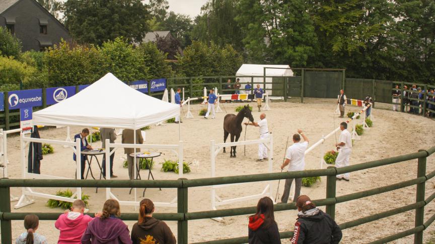 La piste d’Havrincourt à Libramont ... désormais une référence !