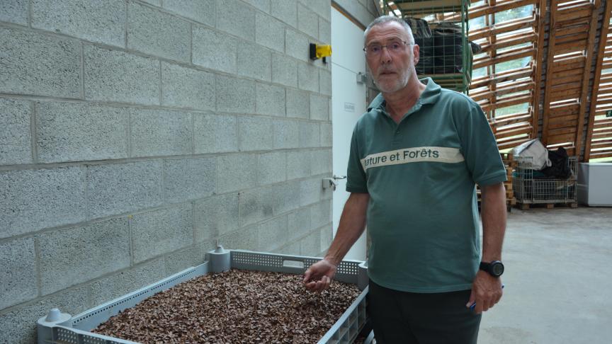 À la tête du Comptoir forestier depuis bientôt 30ans, Alain Servais, accompagné de ses équipes, a écoulé pas moins de 80t de semences dédiées au repeuplement des forêts wallonnes.