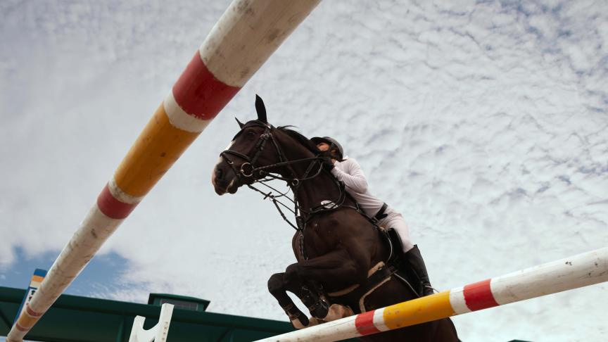 Un rendez-vous incontournable pour les amateurs de sport équestre.