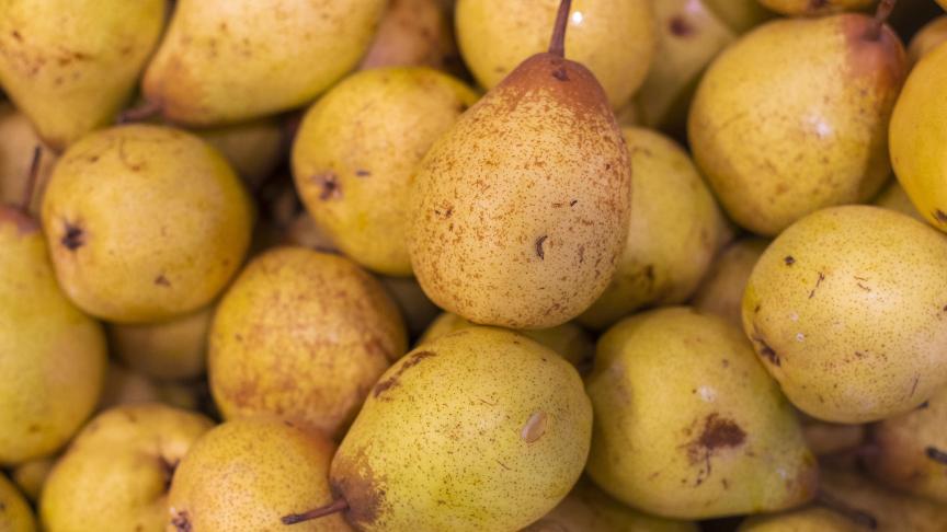 Une légère augmentation du prix des poires est possible.