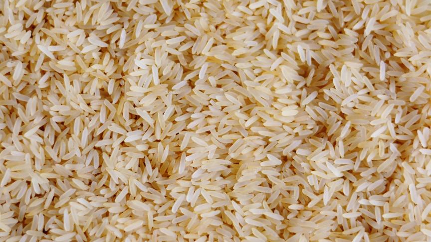 rice-3505977