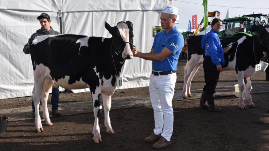 Le concours des jeunes éleveurs est l’un des moments forts de la Foire.