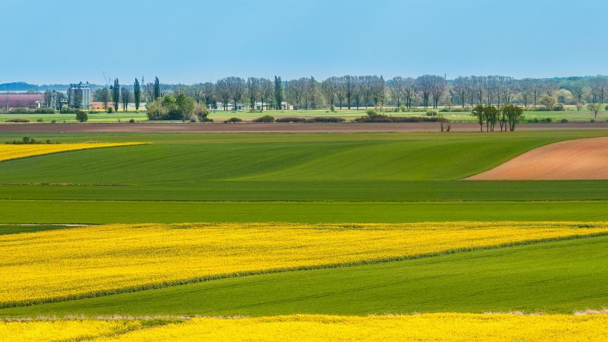 En Flandre et à Bruxelles, un agriculteur sur cinq (soit 3.652 agriculteurs) exploite au moins 10% de terres publiques.