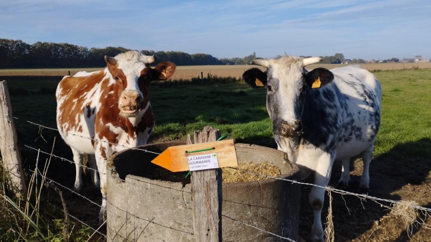 Trois fermes ouvriront leurs portes le 6 octobre.