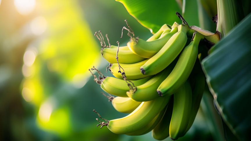 AdobeStock_904500997