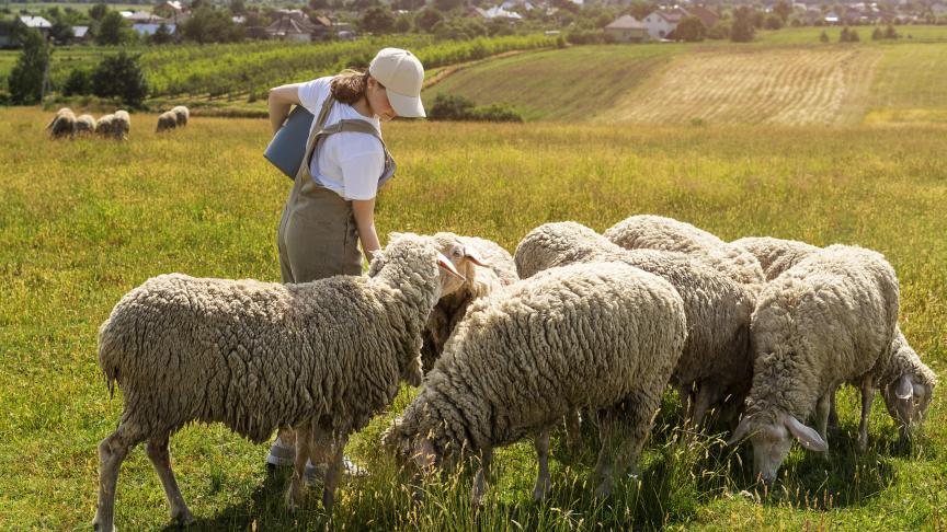 En 15 ans de temps, l’Europe a perdu près de deux millions de petites fermes.