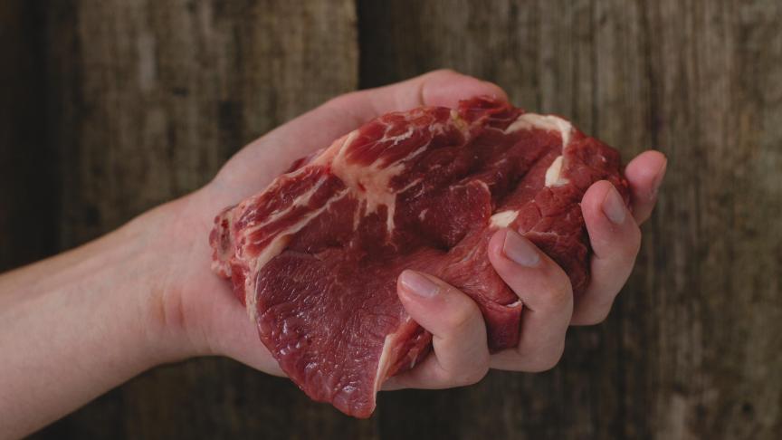 Le think tank Farm Europe a lancé une campagne  appelant les Européens à se prononcer pour la  protection des dénominations de viande comme  c’est le cas depuis 1987 pour le lait et les produits laitiers.