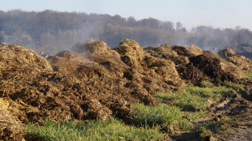 Les fumiers, fientes et composts représentent une potentielle source de pression sur le captage.