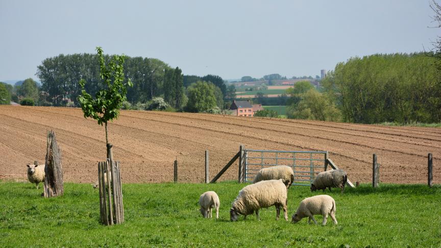 La Fugea dénonce un manque d’écoute vis-à-vis des éleveurs.
