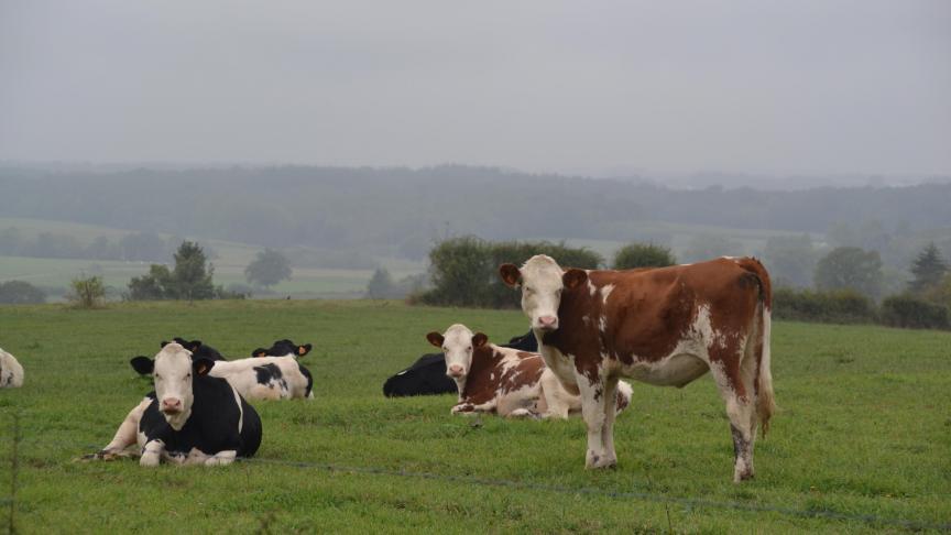 Le prix moyen de l’hectare de biens immobiliers agricoles non bâtis entièrement situés en zone agricole s’établit à 39.216€.