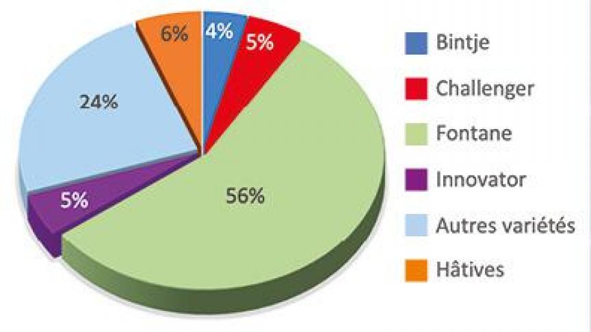 Figure 1: Répartition provisoire de la surface belge de pommes de terre en 2024. Sources: Statbel - enquêtes Fiwap/Carah/PCA/Inagro.