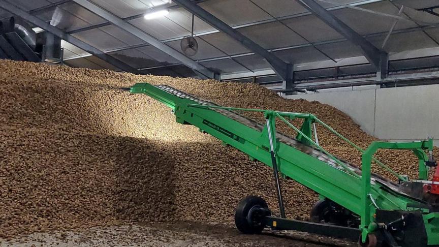 Les 7 variétés suivies couvrent probablement environ 80% des superficies belges de pomme de terre de consommation.