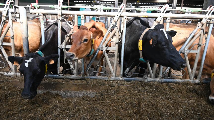Les producteurs laitiers ont réalisé ces dernières années d’importants efforts dans divers domaines, comme le bien-être animal, l’énergie, l’environnement, le climat ou encore la gestion del’eau.