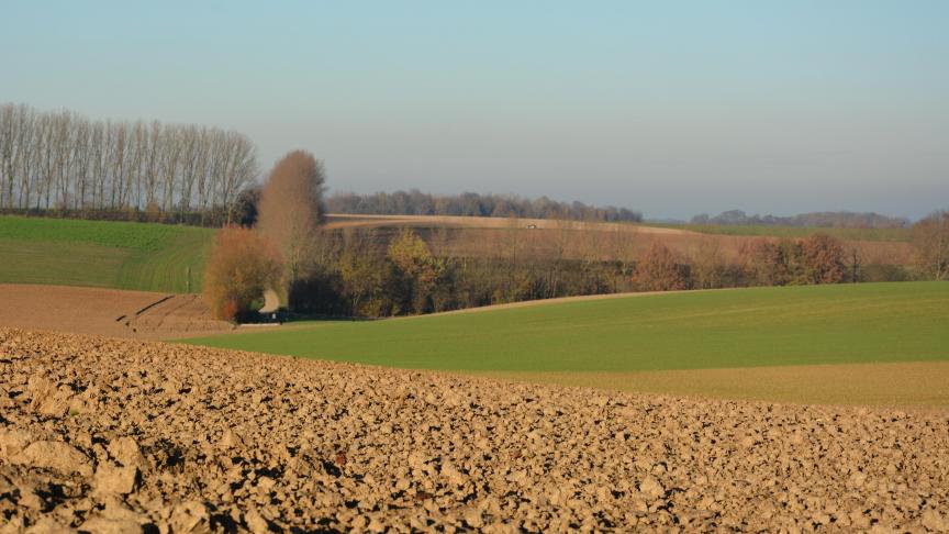 Les nouveaux coefficients sont applicables aux baux  à ferme dont la date anniversaire est postérieure  au 31 décembre 2024 (soit depuis le 1 er  janvier 2025).