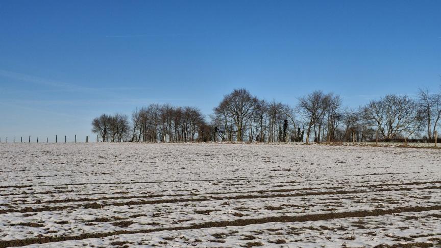 L’article 54 de la loi sur le bail à ferme impose une sorte de « délai d’épreuve » imposant au préempteur d’exploiter lui-même la parcelle, à titre personnel, effectif et continu.