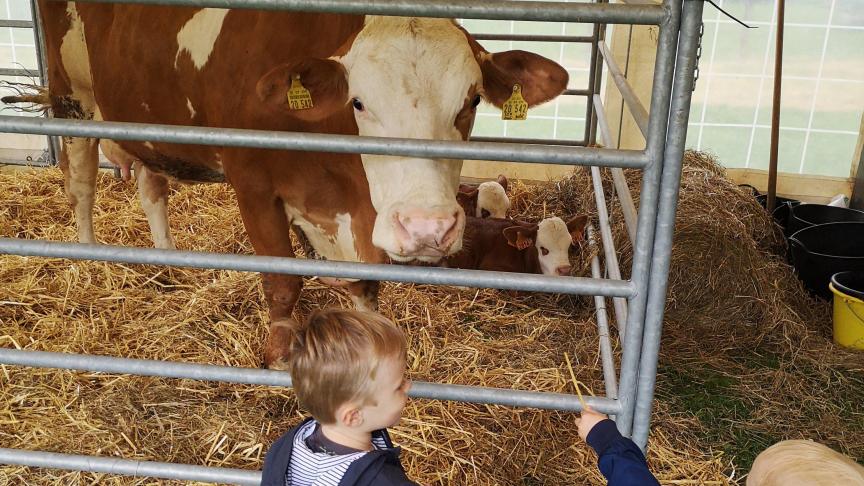 Ce rendez-vous est aussi l’opportunité pour le jeune public de s’approcher des animaux de la ferme.