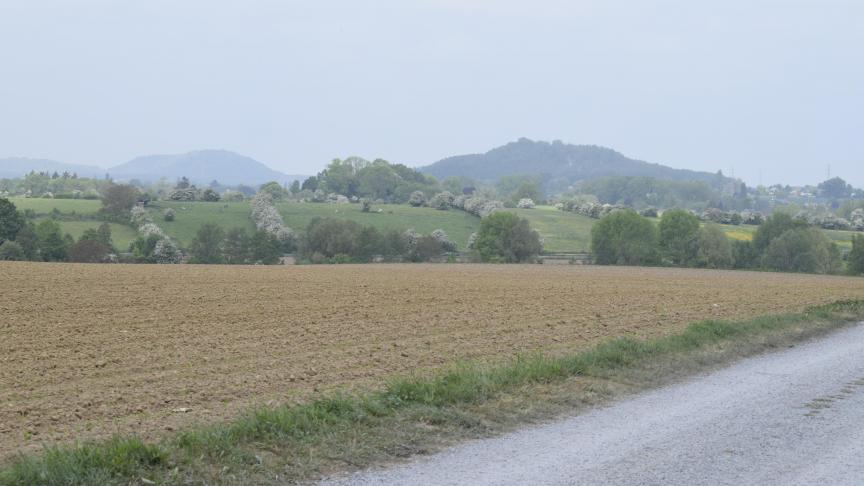 La Province de Hainaut s’est fixée pour objectif de favoriser l’image de marque et les savoir-faire en agriculture.