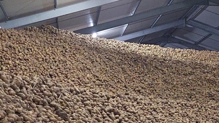 L’occasion d’échanger sur le thème de la pomme de terre.