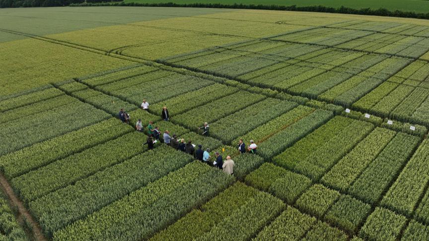 Outre les céréales, le maïs, les pommes de terre et les légumes figurent au cœur du programme.