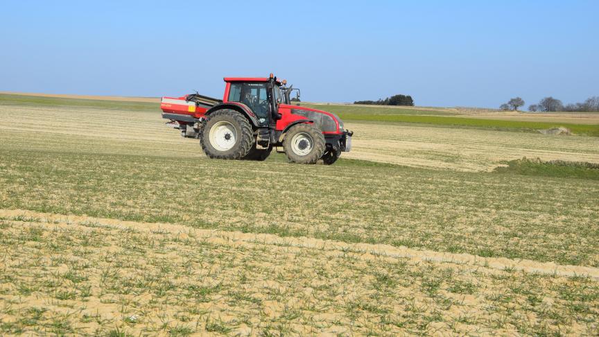 Le niveau d’azote présent dans le sol sur une profondeur de 90 cm est en moyenne de 39 kg Nmin /ha. Ce qui est largement inférieur à la teneur moyenne en azote minéral de ces dix dernières années (54 kg Nmin /ha).