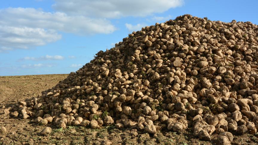 Après trois mois consécutifs de baisse,  la tendance s’inverse pour les prix  du sucre.