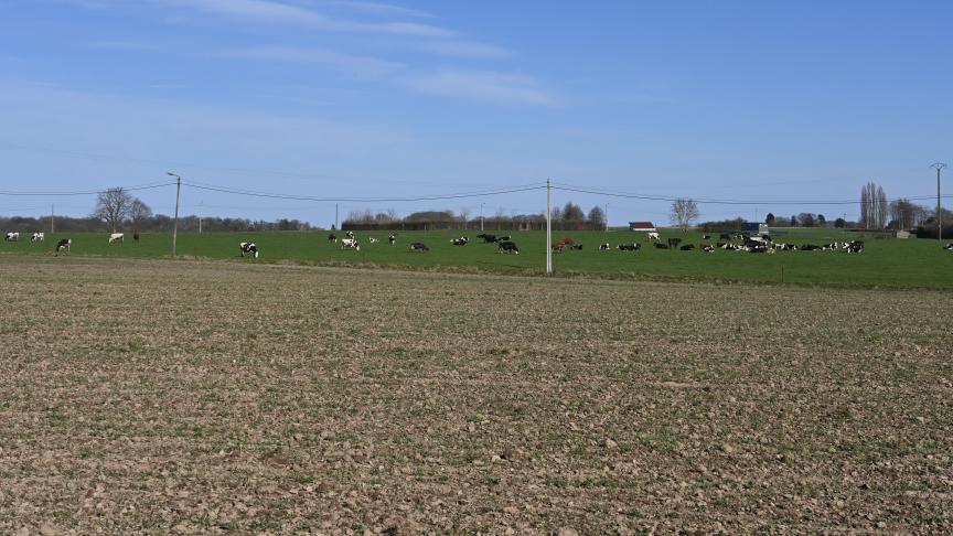 Après l’évacuation du bien, l’exploitation personnelle doit être assumée dans un délai de six mois, sur les parcelles concernées par le congé. Elle doit également être effective et continue durant neuf ans.