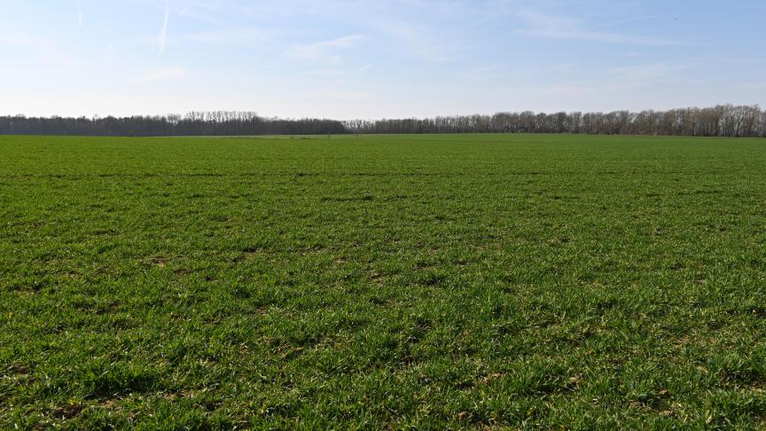 Il est recommandé d’alterner les modes d’actions et les molécules afin de préserver l’efficacité des matières actives et éviter l’apparition de résistance.