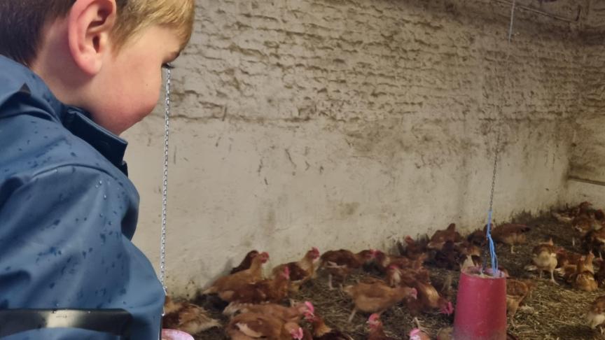 Pourquoi ne pas emmener les enfants explorer une ou plusieurs fermes près de chez soi «en vrai» ?