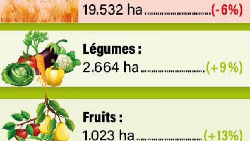 20-infograph-bio-01-web