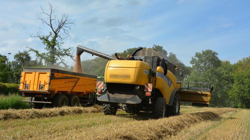 Pour les variétés de blé panifiables, l’humidité et le poids à l’hl doivent être déterminées avant la récolte, en accord bilatéral.