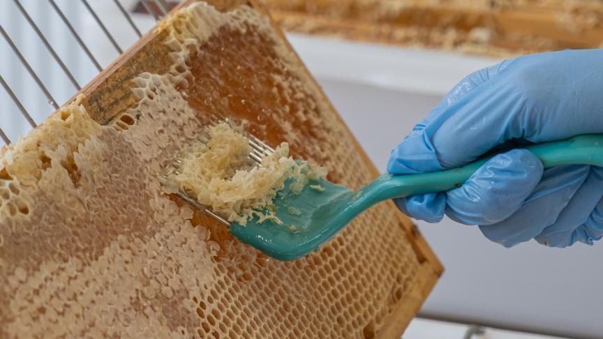 En 10 ans, la miellerie a permis l’extraction de plus de 35 t de miel et a soutenu jusqu’à 150 apiculteurs chaque année.