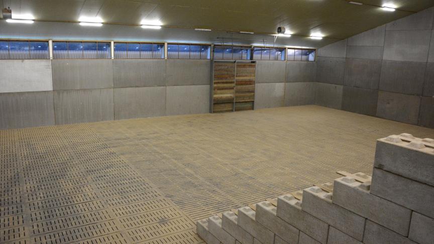 Alors que quelques hangars montraient encore des résidus de Cipc supérieurs à 0,01 mg/kg en 2023-2024, cela n’a pas été le cas pour la saison 2024-2025.