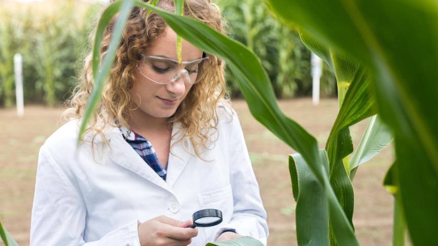 Les bénéficiaires de ces bourses sont des diplômés de l'enseignement universitaire, avec une orientation claire vers la recherche, dans l'industrie et dans l'agriculture.