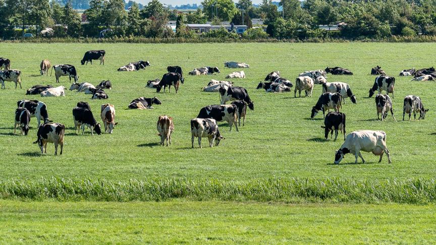 Pour ce faire, le secteur agricole devrait adopter largement certaines pratiques notamment dans la gestion des cultures et du bétail.