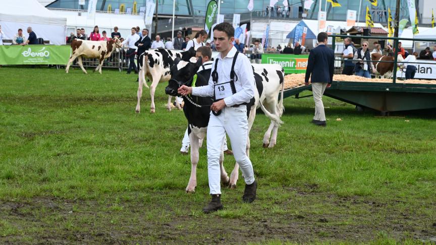 98animaux sont inscrits pour le concours Holstein, avec, à midi, le Showmanship, ouvert aux jeunes de 5 à 25ans,