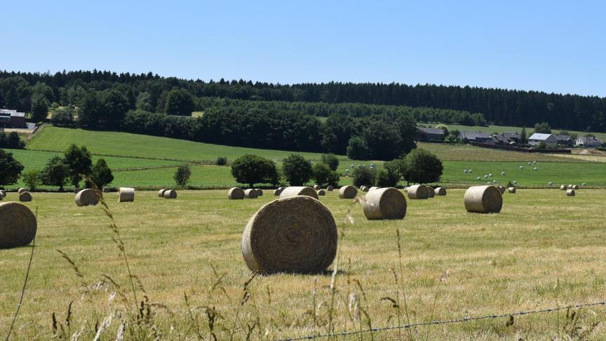 Les thèmes liés à l’environnement, à la santé animale et à la durabilité seront mis en avant lors de la Foire, dans une logique de continuité des projets déjà engagés.