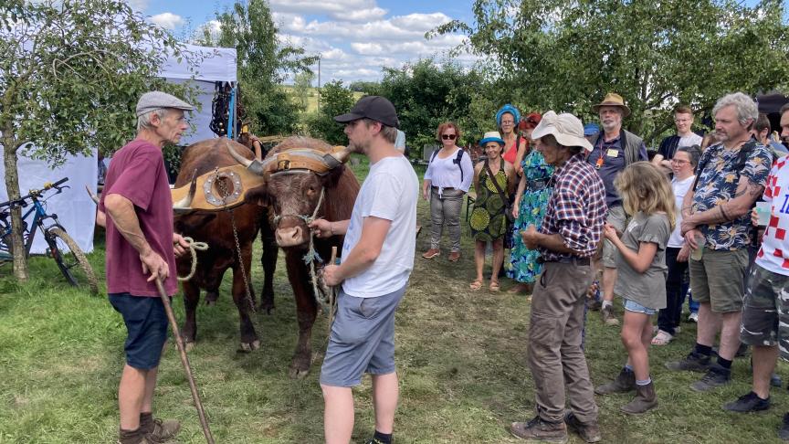 Le village de la traction animale : démonstrations sur prairie et verger  avec du matériel adapté  au cheval et au bœuf.