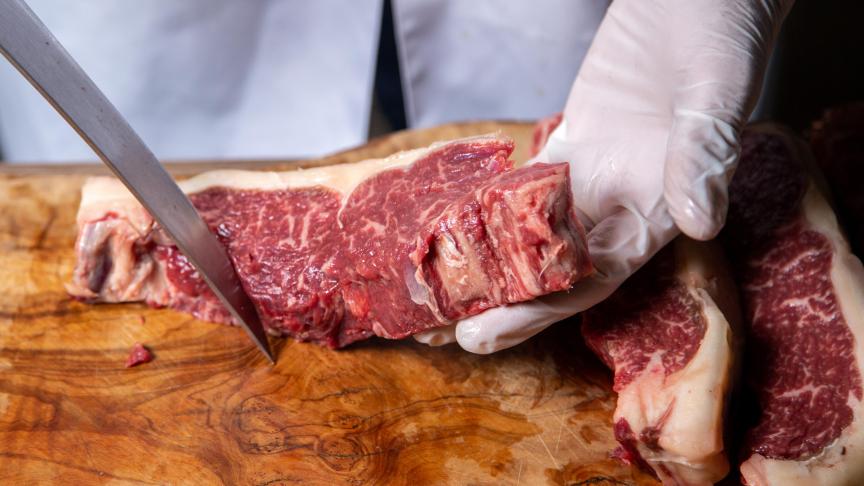 La hausse des prix est encore plus prononcée pour la viande bovine, avec un pic à près de 10 euros le kg carcasse (pour les jeunes taurillons AS2), ce qui a permis aux éleveurs bovins d'enfin atteindre et de même dépasser le seuil de rentabilité