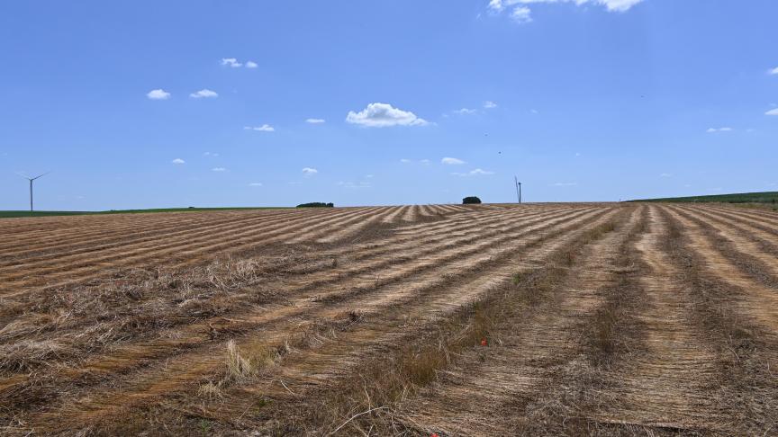 La notion de prépondérance ne sera à examiner que si le preneur, à qui le congé est notifié, est exploitant agricole à titre principal. Dans ce cas, l’activité agricole du bénéficiaire du congé devra, elle aussi, présenter un caractère prépondérant par rapport à toute autre activité professionnelle éventuelle.