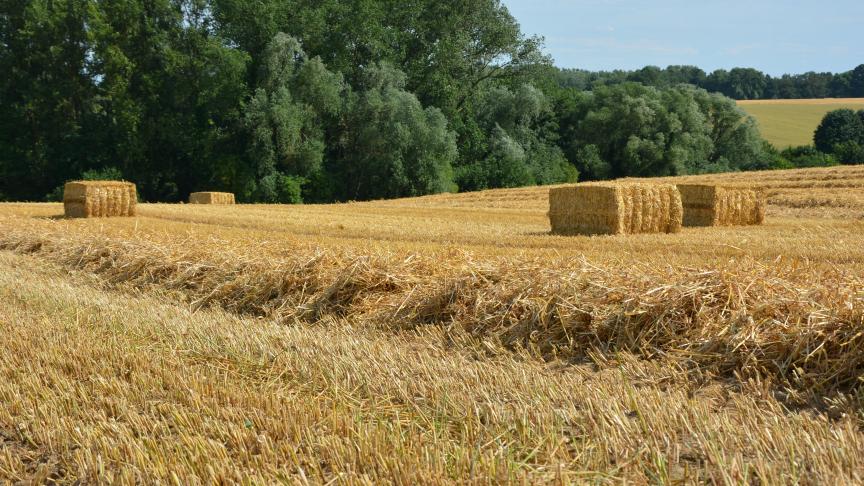 Vegaplan s’est attelé à analyser les données fournies par plus de 3.500 participants au Moniteur de durabilité afin d’évaluer les pratiques du même nom dans le domaine de la production primaire végétale.