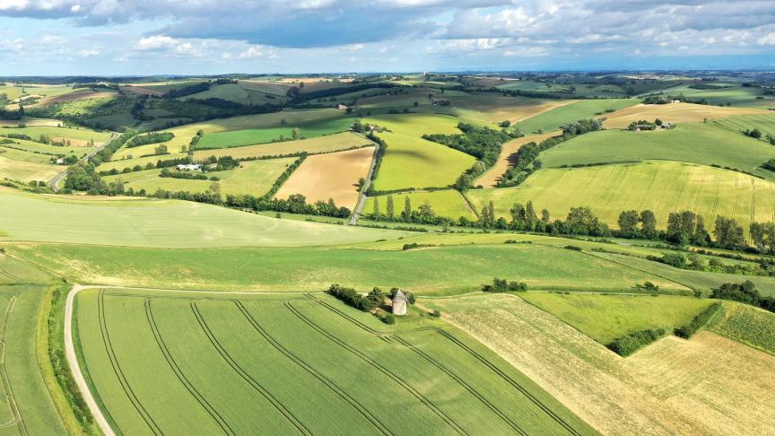 En 2024, selon les données des Safer, le marché du foncier agricole  marque un net repli en France.