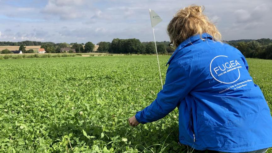 10micro-parcelles de mélanges fourragers seront présentées par 5semenciers.