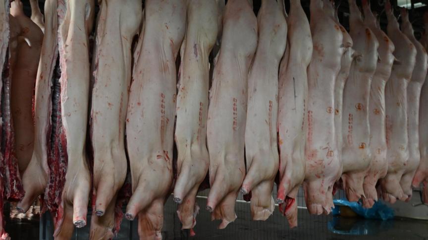 Plus d’infos sur https://collegedesproducteurs.be/directory-abattoirs_wa/