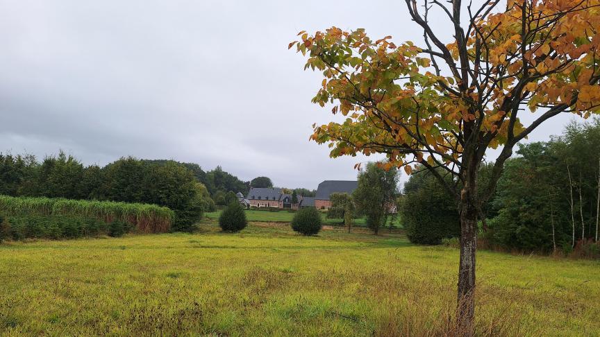 Luc Regout, propriétaire de la ferme, a complètement changé le paysage, ce qui a permis d’attirer des espèces auparavant peu présentes.