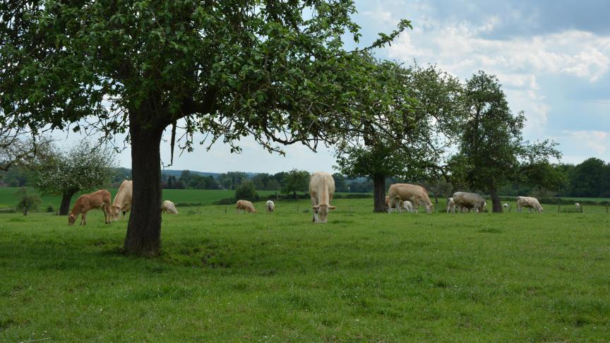Pas moins de 25.000 € seront attribués  à un ou plusieurs lauréats.
