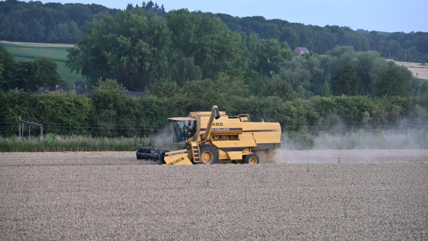 Selon la longueur de leur cycle de développement et les conditions climatiques rencontrées annuellement, les potentiels de rendement s’exprimeront différemment selon la date de semis.