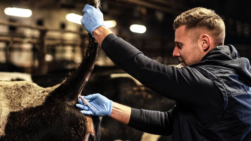 Notre pays est reconnu pour la qualité de sa formation, mais éprouve des difficultés à retenir ses diplômés.