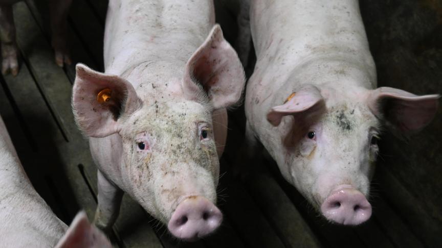 Le recours aux engrais RENURE est toutefois soumis à certaines condition, comme un maximum 80kg d