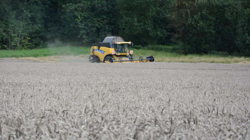 En froment d’hiver, le gain  de rendement est estimé à 30 %  environ, entre 2024 et 2025.