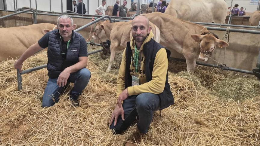 Les bovins d’Olivier Tarlevé (à gauche) n’ont pas pu participer au salon à cause de la FCO, contrairement à Mickael Rothureau dont les bêtes ont passé les tests.